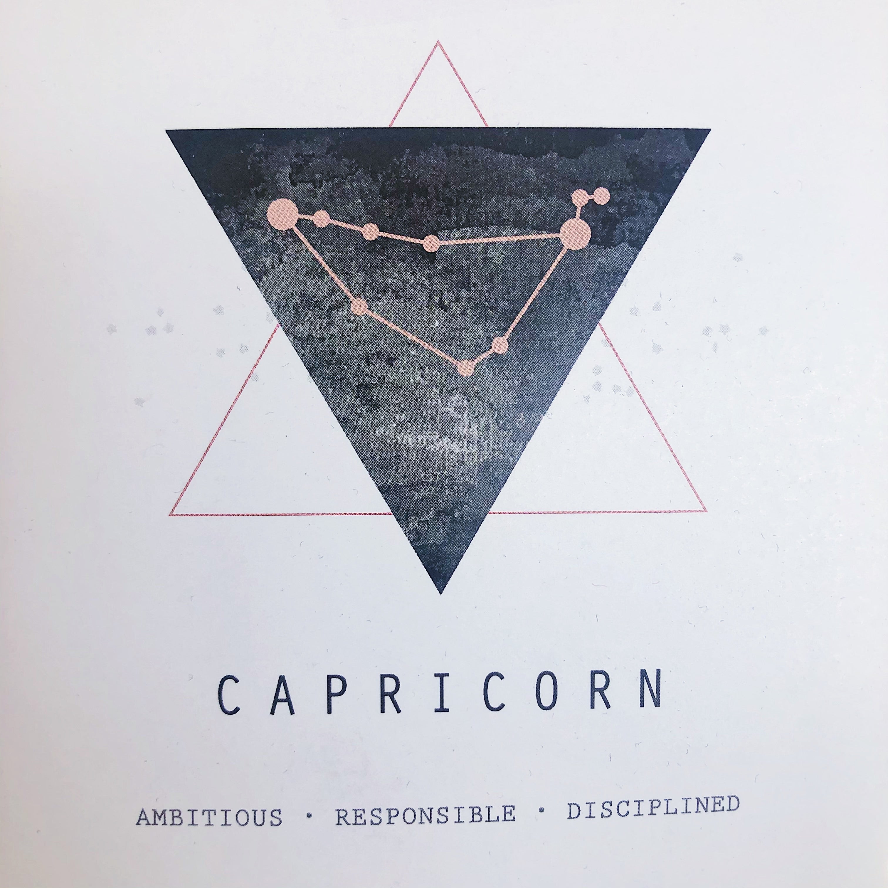 White Feather Design // Zodiac Coin Necklace Capricorn