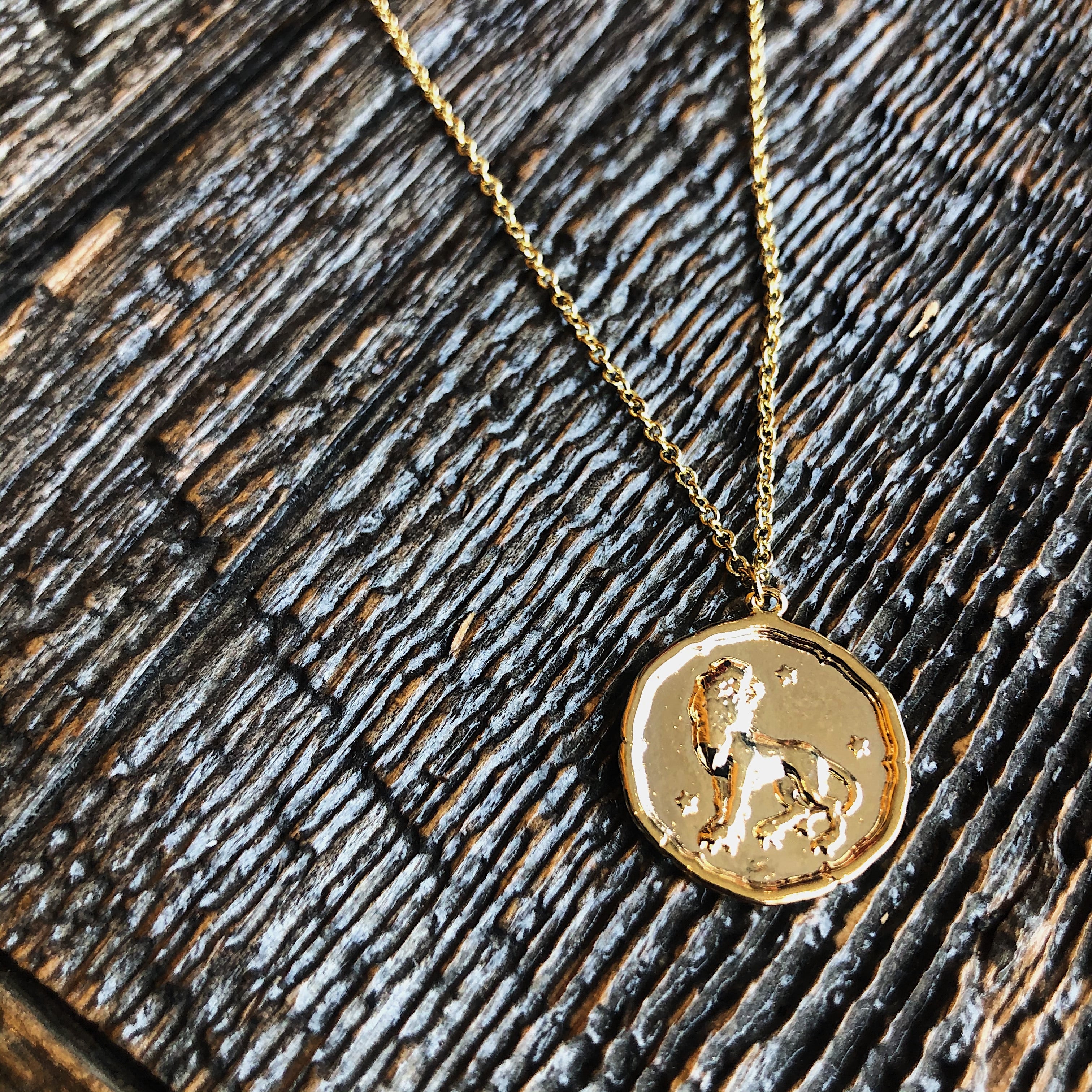 White Feather Design // Zodiac Coin Necklace Leo