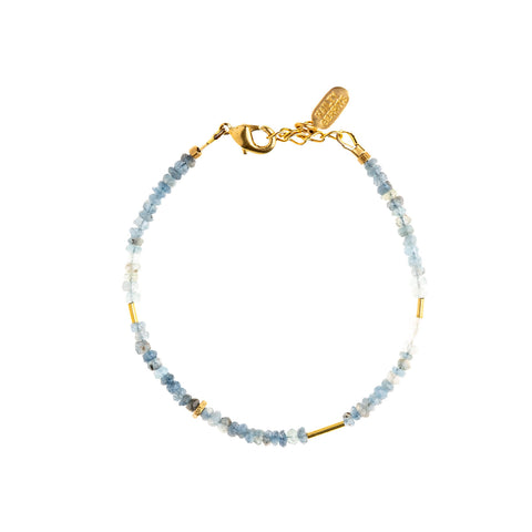 Clover and Coast //  Gold Plated Fringe Earrings