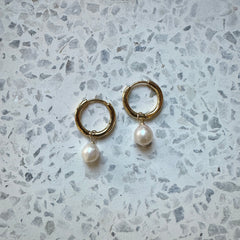 Petite Gold  // Pearl Hoops