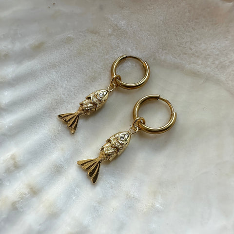 Hawkly // Nova Hoops Bronze