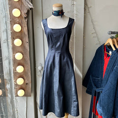 Birds of North America // Honey Buzzard Dress Dark Wash