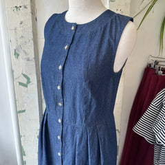 Birds of North America // Thunder Pumper Dress Dark Wash