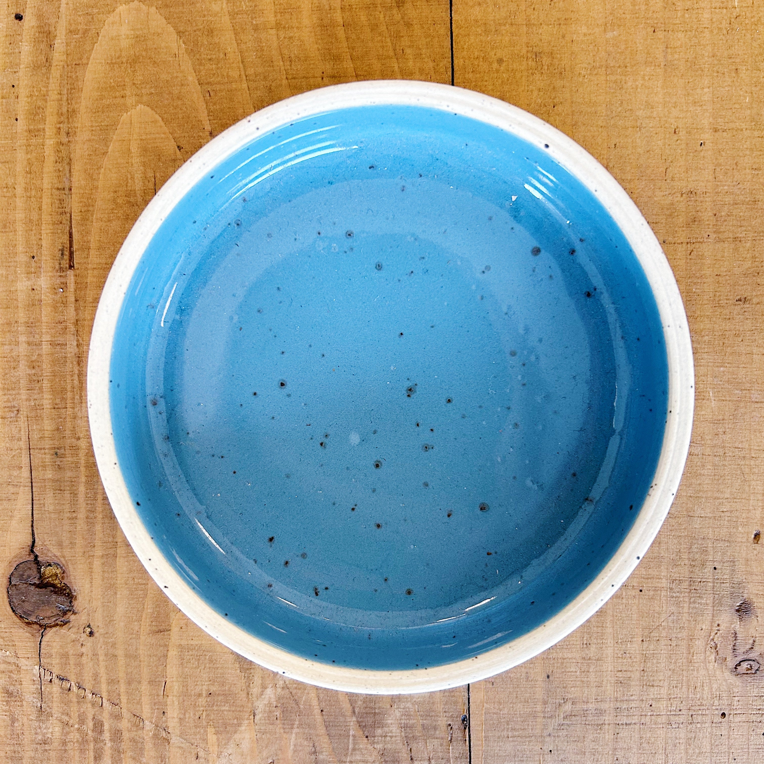Shayna Stevenson // Powder Blue Dish