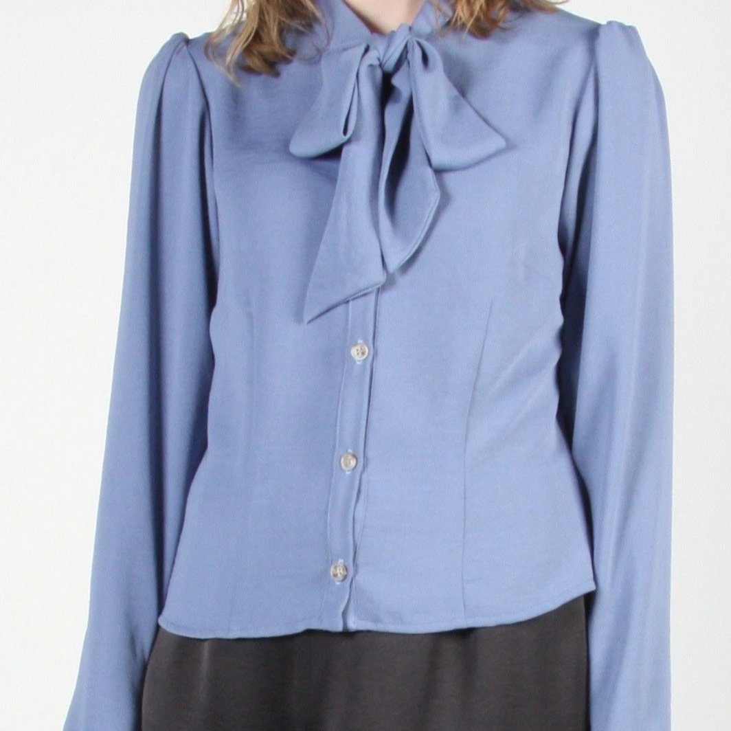 Birds of North America // Dotterel Blouse Periwinkle 6