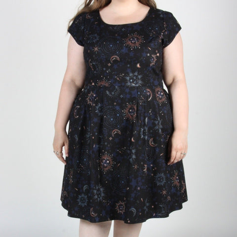 Birds of North America // Turnstone Dress Hello Moon