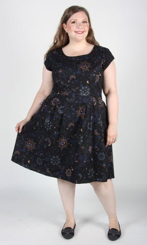 Birds of North America // Turnstone Dress Hello Moon