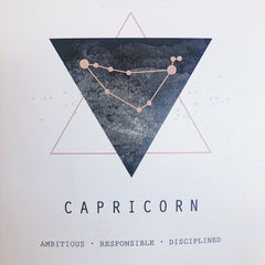 White Feather Design // Zodiac Coin Necklace Capricorn